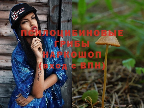 apvp Дмитровск