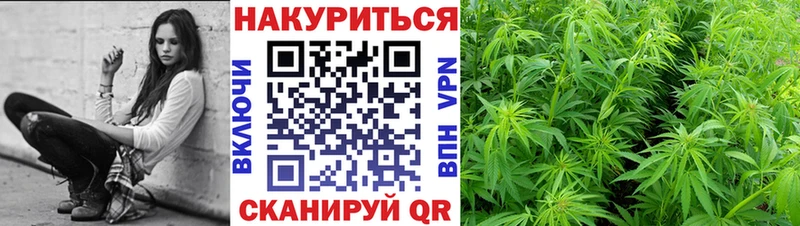 Канабис Amnesia  Козельск 